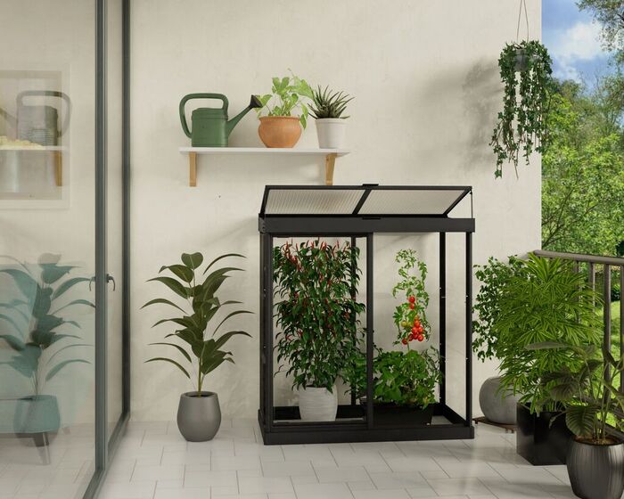 Växthus Ivy 133 x 63 cm Svart Canopia by Palram